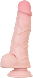 ToyFa Ρεαλιστικό Dildo με Όρχεις και Βεντούζα Flesh