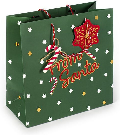 Tri-Coastal Design Santa Christmas Gift Bag Green