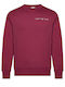 Hanorac Burgundy