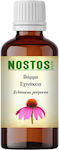 Nostos Pure Tinktur Echinacea 30ml