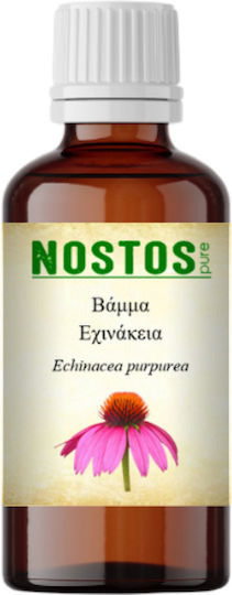 Nostos Pure Настойка Echinacea Ехинацея 30мл