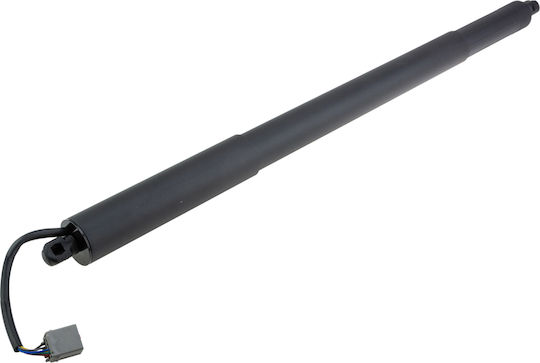 NTY Trunk Shock for Ford Edge