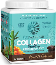 Sunwarrior Collagen Chocolate Fudge 500гр Sunwarrior Collagen Chocolate Fudge 500гр