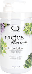 Qtica Cactus-blossom Lotion Körper 964gr