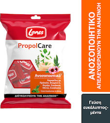 Lanes PropolCare Lozenges for Dry and Productive Cough Eucalyptus & Mint 54g Lanes PropolCare Lozenges for Dry and Productive Cough Eucalyptus & Mint 54g