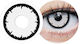 Clearlab Clear Color 1-Day Phantom 2 Ημερήσιοι ...