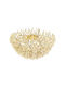 Elmark Ceiling Mount Light Bronze with Socket G9 with Crystals