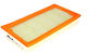 Purflux Car Air Filter
