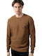 Sweater Goldenrod