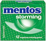 Mentos Chewing gum Storming 33gr