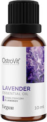 OstroVit Αιθέριο Έλαιο Λεβάντα 10ml OstroVit Αιθέριο Έλαιο Λεβάντα 10ml