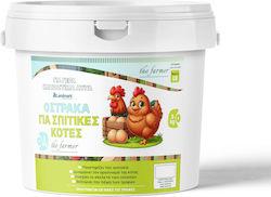 Farmer Όστρακα Κότες 5kg Landmark