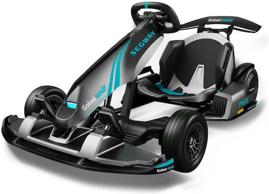 Masinuta Electric Go Kart Cu Un Loc Pro 2 Gri AA.04.04.01.0004