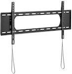 Tooq Wall TV Mount