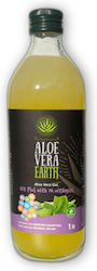 Aloe Vera Earth Αλόη 1000ml Πορτοκάλι Aloe Vera Earth Αλόη 1000ml Πορτοκάλι