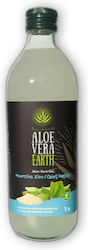 Aloe Vera Earth Aloe 1000ml Mastic