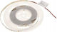 LED Strip 12V Natural White Light 5m