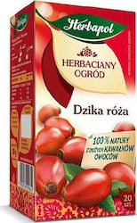 Herbapol Seeds