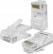 Qoltec Βύσμα RJ-45 male 100τμχ Χρυσό 13848119