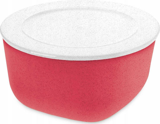 Koziol Plastic Transparent Lunch Box 2lt