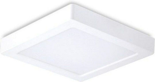 Vito Τετράγωνο LED Panel 24W με Ψυχρό Λευκό Φως 6000K 29.2x29.2εκ.