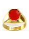 FenixJewelry Ring with Zircon made of Gold 14K
