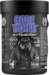 Zoomad Labs Caretaker Bcaa 10:1:1 480gr Raspberry