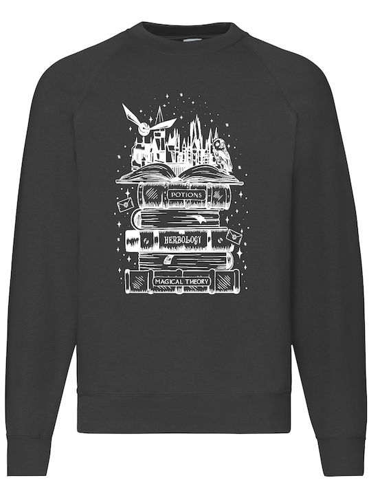 Fruit of the Loom Harry Potter Hogwarts No1 Sweatshirt Harry Potter Schwarz