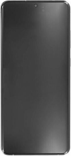 Samsung Screen with Touch Mechanism and Frame for Samsung Galaxy S21 Ultra 5G (SM-G998B) (Silver)