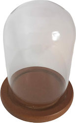 Glass Dome A Wooden Brown Base