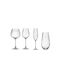 Crystal Bohemia Set of Glasses for White and Red Wine made of Crystal Stemmed 580ml 24pcs