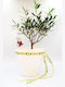 Bonsai-Olive Weihnachtsgeschenk