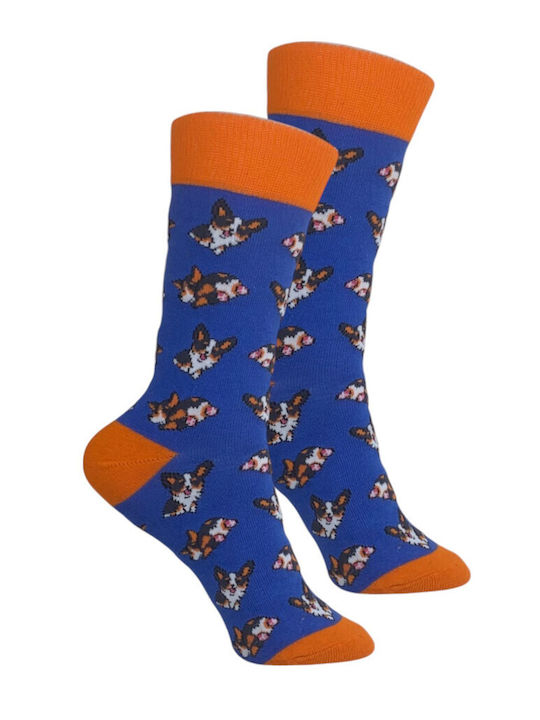 Kids' Socks Sport Blue