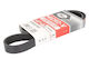 Gates Grooved Transmission Belt