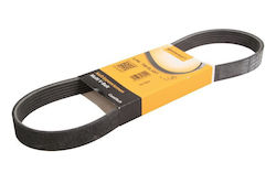 Curea Transmisie Multi-v 6PK799pk799 799mm 6PK799 Raze Contitech Audi Seat Skoda Vw Curea Transmisie Multi-v 6PK799pk799 799mm 6PK799 Raze Contitech Audi Seat Skoda Vw