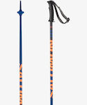 Salomon Ski Pole Blue