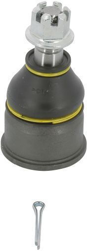 Moog Pivot Rechts Links Untere Vorderachse Durchmesser Cone 16mm Honda Civic CR-V CRX Integra Prelude Mg Zs Rover 400 45