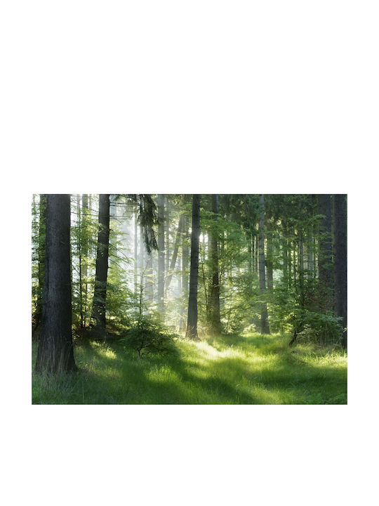 Fototapet Decorativ Dormitor Pădure în Soarele Dimineții 148x220
