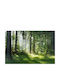 Fototapet Decorativ Dormitor Pădure în Soarele Dimineții 148x220