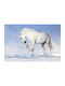 Decorative Sticker Refrigerator Magnetic 1pcs 60x100cm Decowalls