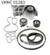 Water Pump Set + Skf Timing Belt