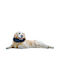 Pet Nova Κολαρο Ελισαβετ Φουσκωτο Xlarge 48-63cm Mo0000005277