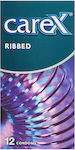 Carex Ribbed Condoms 12pcs