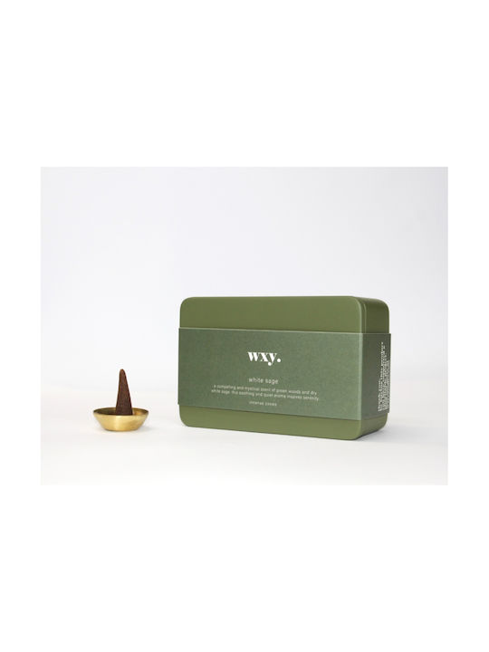 20 Aromatische Räucherkegel Weißer Salbei Zementbox Salbeigrün Wxy
