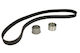 Set de Curele de Sincronizare pentru Curea de 32mm 207 Dinți Hyundai Coupe Santa Fe Sonata Tiburon Trajet Tucson Xg Kia Magentis Sportage 2.5/2.7 530043010 Ina