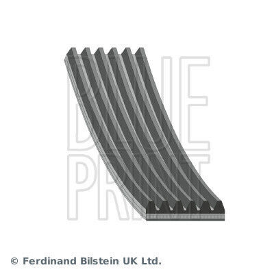 Blue Print Multi-v-belt Transmission Belt Grooves 6pk954 Length 954.0mm Number Ribs 6.0 Pcs