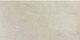 Alaplana Floor / Kitchen Wall / Bathroom Matte Porcelain Tile 60x30cm Beige