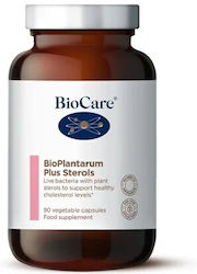 BioCare BioPlantarum Plus Sterols 90 φυτικές κάψουλες BioCare BioPlantarum Plus Sterols 90 φυτικές κάψουλες