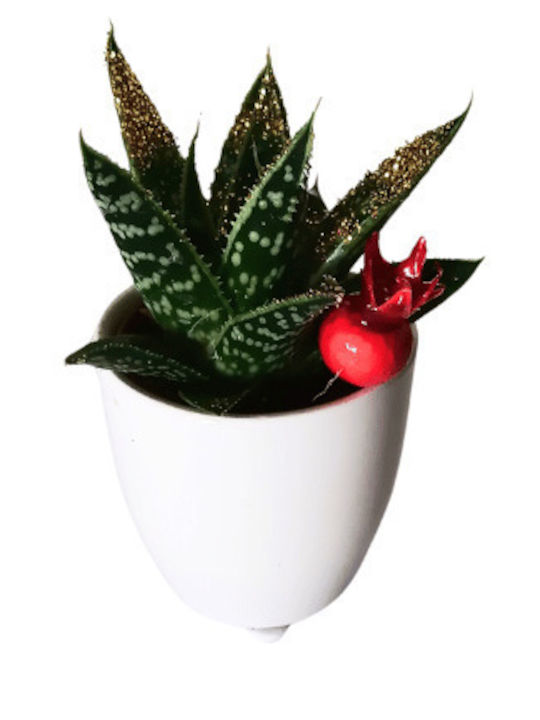 Aloe Tiger Christmas Shine