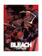 Poster Bleach An072 40cm x 50cm